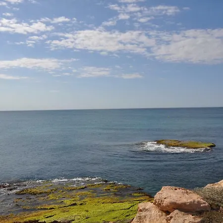 Havana Mediterranea Torrevieja
