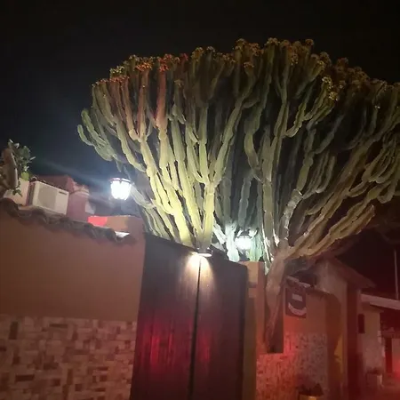 Havana Mediterranea Nyaraló Torrevieja