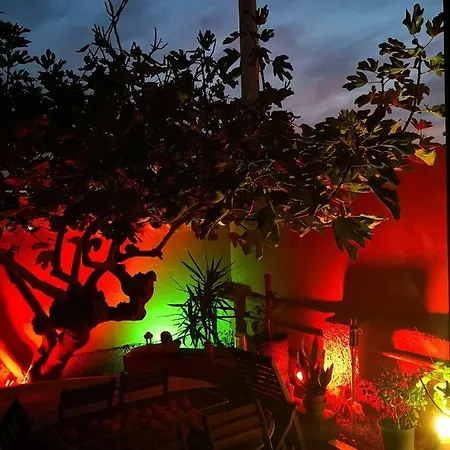 Havana Mediterranea * تورّيفيِخا
